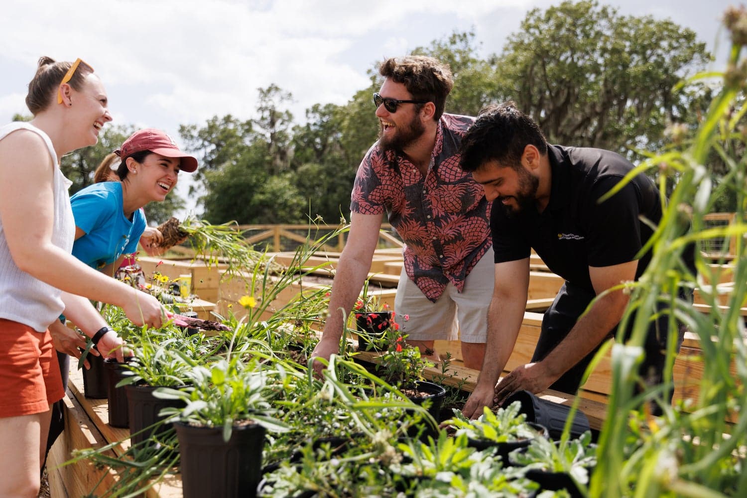 Residentes cultivando parcelas en el community garden de Weslyn Park